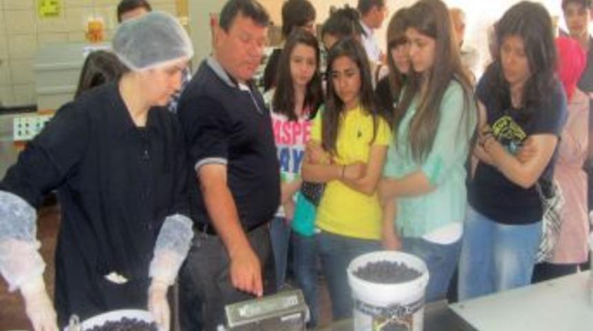 Zeytine Dokunmak I&ccedil;in Pendik'ten Geldiler