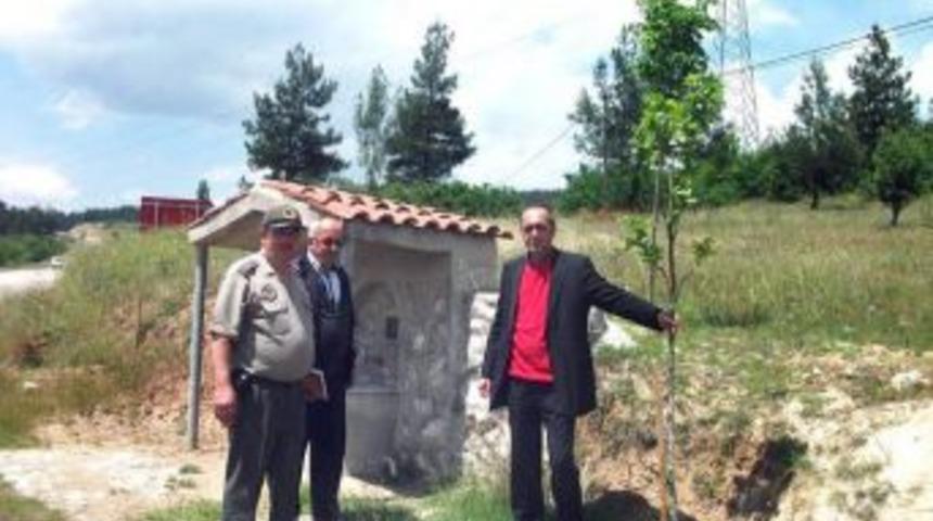 Orhaneli Ve K&ouml;ylerine Her &Ccedil;eşme &Ouml;n&uuml;ne 174 Dikildi