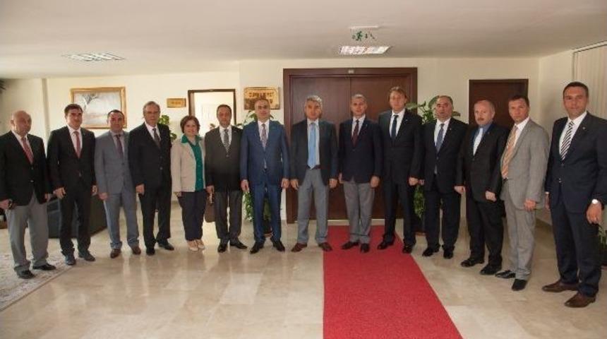 Ferizli&rsquo;ye Cezaevi Kamp&uuml;s&uuml;