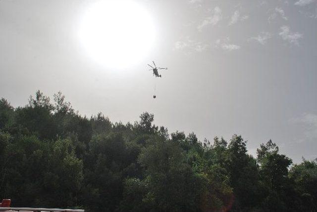 Marmaris'te Orman Yangını Büyümeden Söndürüldü