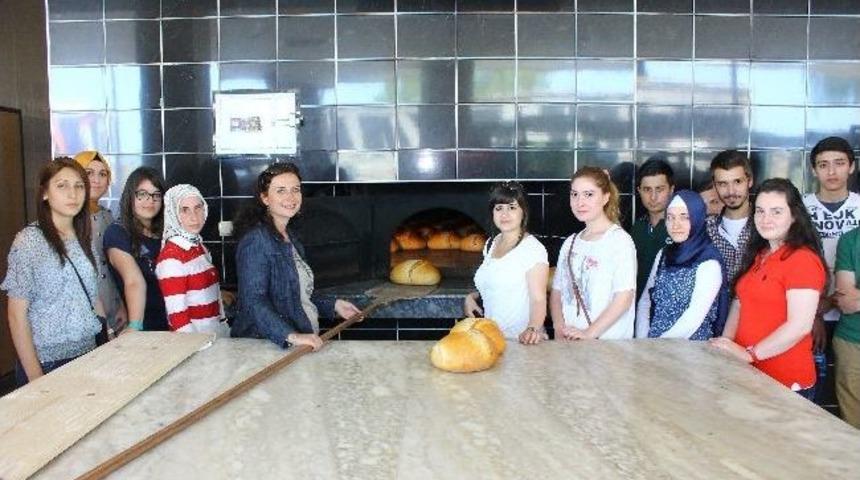 Gıda M&uuml;hendisliği &Ouml;ğrencileri &lsquo;trabzon Ekmeğini&rsquo; İnceledi