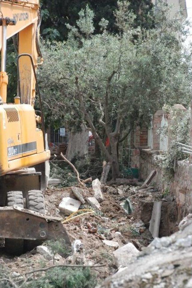 Karacabey Ulucamii’nin Bahçesindeki Ağaçlar Kesiliyor