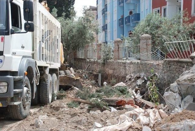 Karacabey Ulucamii’nin Bahçesindeki Ağaçlar Kesiliyor