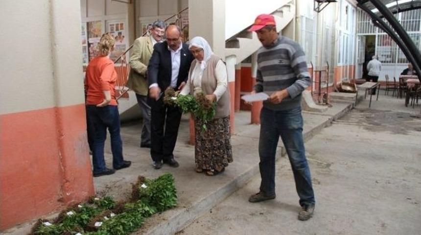 Kızılcab&ouml;l&uuml;k&rsquo;te Kızılbiber Toprakla Buluştu