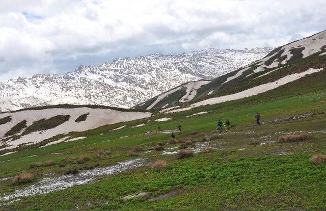 Hıristiyanlardan Kato Dağı na Barış Y&uuml;r&uuml;y&uuml;ş&uuml; 1