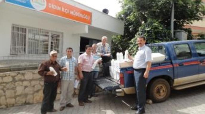 Didim&rsquo;de Zeytin G&uuml;vesi İla&ccedil;lamasına Başlandı