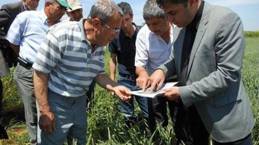 &Ccedil;ift&ccedil;ilere Tarlada, Tarla Okulu Eğitimi