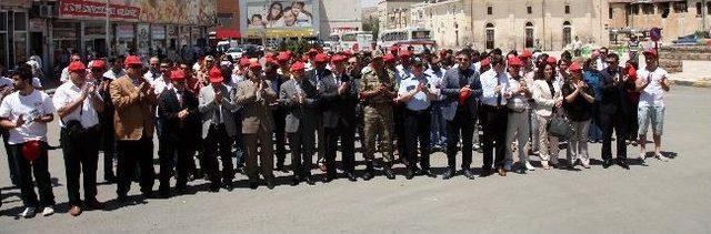 Nizip&rsquo;te 3. Geleneksel K&uuml;lt&uuml;r, Spor Ve Bahar Şenliği Başladı 1