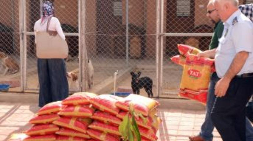 &Ouml;ğrencilerden Hayvan Barınağına Gıda Yardımı