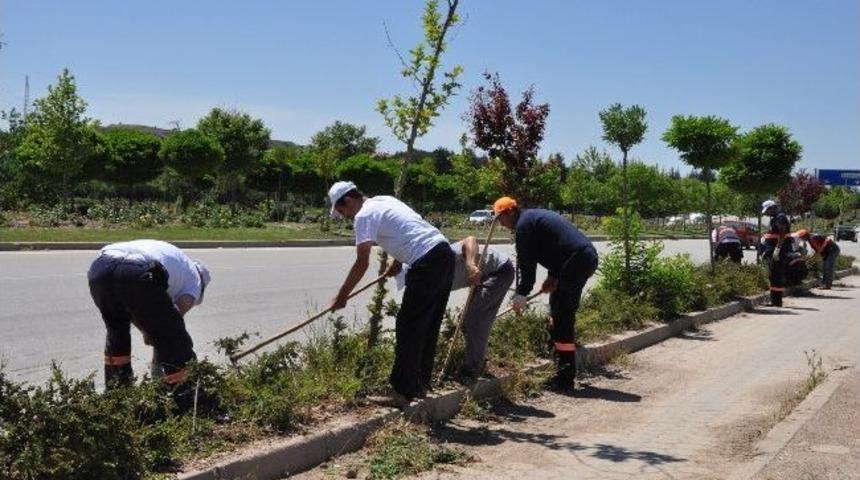 Odunpazarı Belediyesi&rsquo;nin &Ccedil;i&ccedil;ek Dikim &Ccedil;alışmaları
