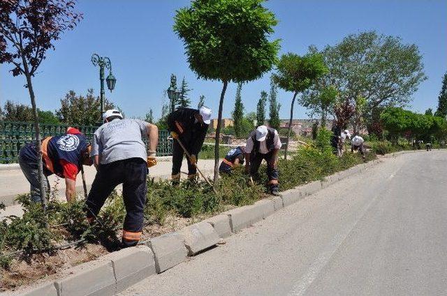 Odunpazarı Belediyesi’nin Çiçek Dikim Çalışmaları 1