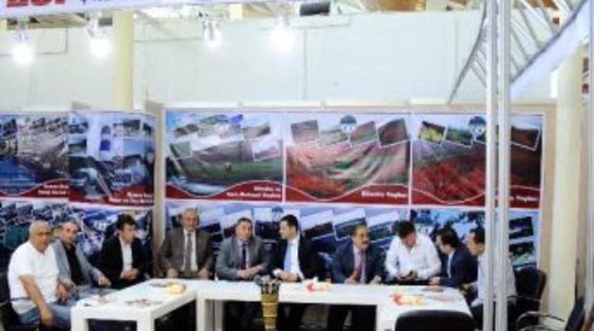 Kumru Belediyesi, Ordu G&uuml;nleri'nde