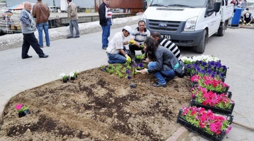 Mudanya &Ccedil;i&ccedil;ek A&ccedil;ıyor