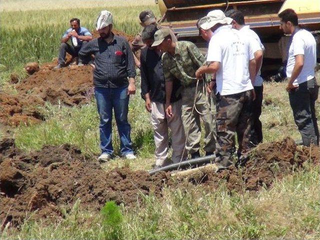 Kızıltepe de Faili Meçhul Kazı Çalışmaları Sürüyor 2