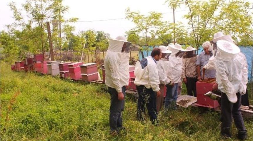 &Ccedil;arşamba&rsquo;da Arıcılık Kursu