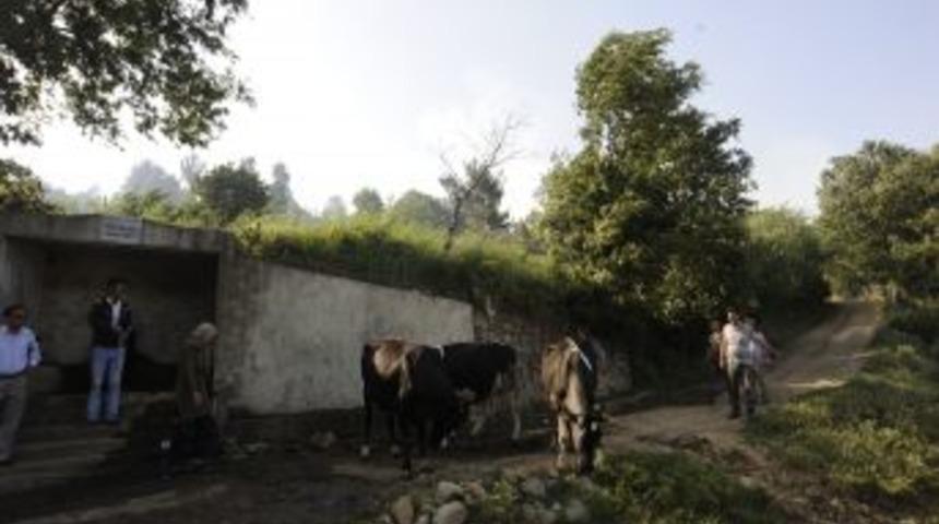 &Ccedil;anakkale'de &Ccedil;ıkan Yangın Devam Ediyor