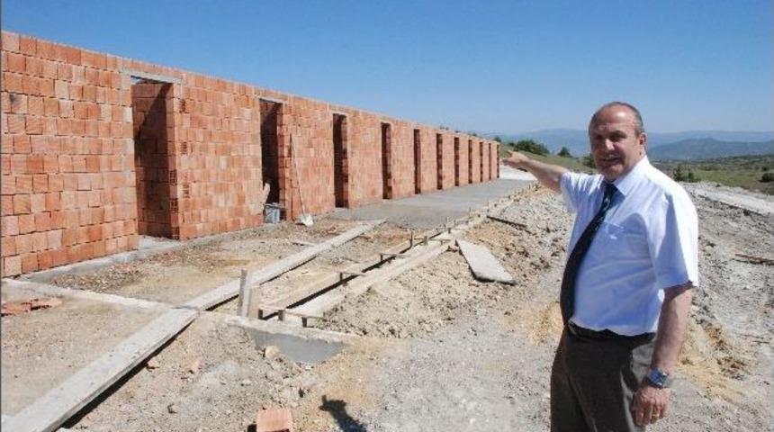 Taşk&ouml;pr&uuml; Belediyesi Hayvan Barınağı Yapıyor