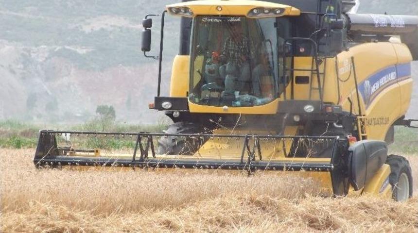 S&ouml;ke&rsquo;de Erkenci Buğdayda Hasat Başladı