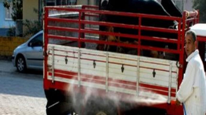 İl İ&ccedil;i Hayvan Nakillerinde Rapor Şartı Kaldırıldı