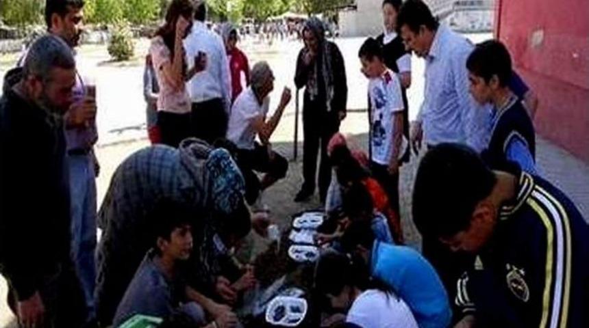 Minik Eller Tohumları Fidana D&ouml;n&uuml;şt&uuml;recek