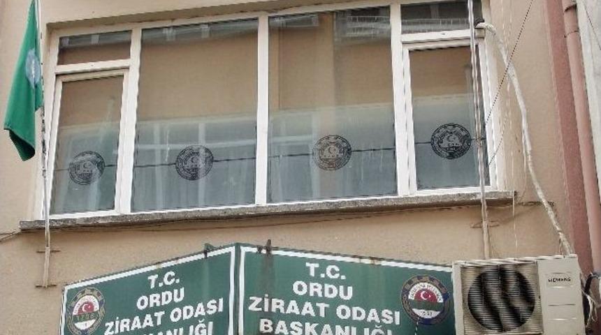 Ordu Ziraat Odası&rsquo;na Kayyum Heyeti Atandı