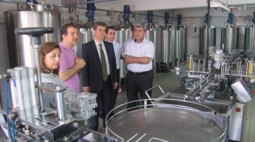 Kolonya Firmalarına Denetim