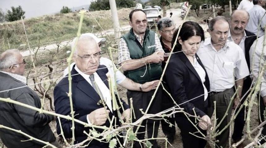 Milletvekili &Ouml;ren'den Dolu Afeti İ&ccedil;in Komisyon &Ouml;nerisi