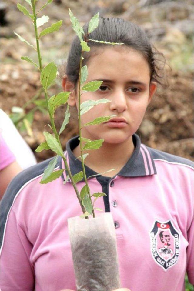 Amanoslara Bin Fidan Dikildi