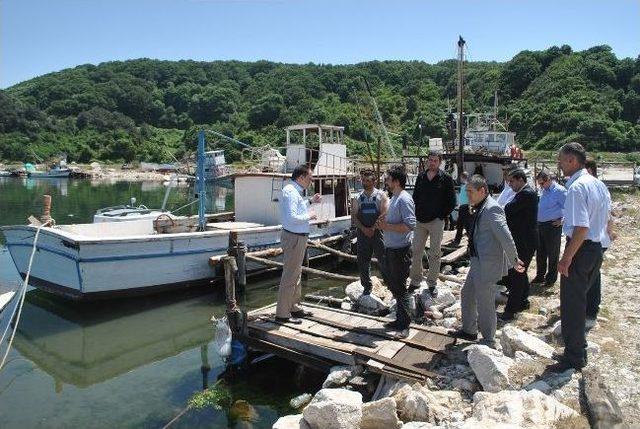 Yeniköy Limanı Temizleniyor 1