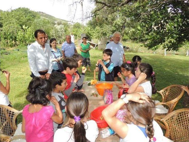 Miniker &Ccedil;iftlik Gezdi 1