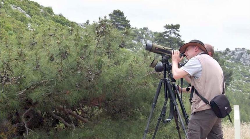 Kuş G&ouml;zlemcileri Silifke&rsquo;de
