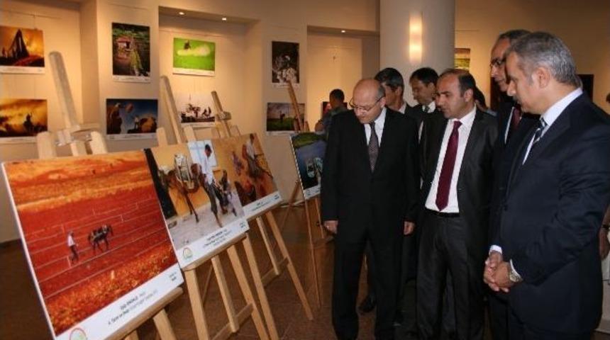 D&uuml;zce&rsquo;de Tarım Ve İnsan Konulu Sergi