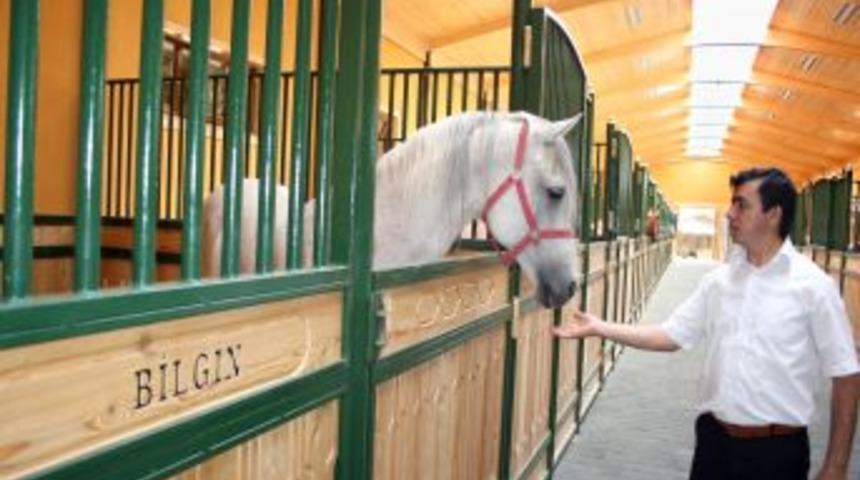 TİGEM&rsquo;den Promosyonlu Tay Satışı