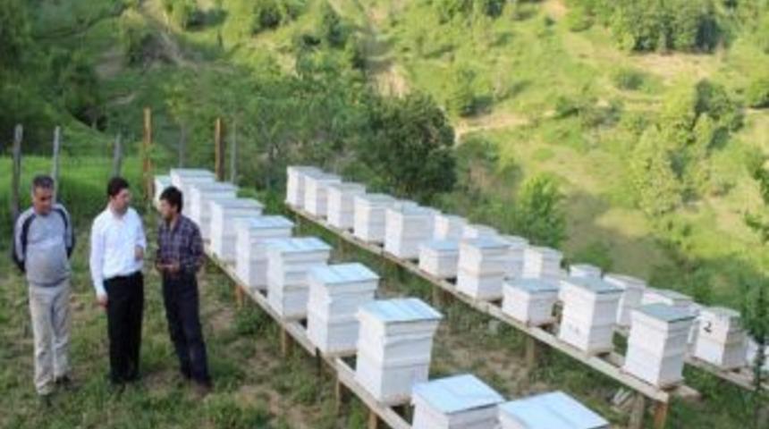 Arıcılık &Ccedil;alışmalarını İnceledi