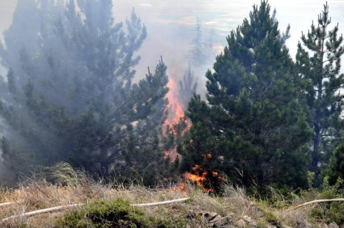 Eskişehir&rsquo;de Orman Yangını