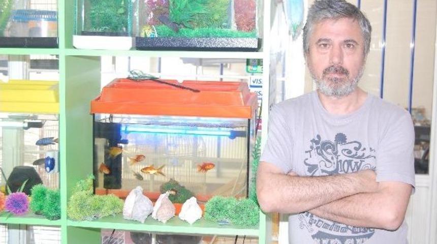 10 Taksite Muhabbet Kuşu