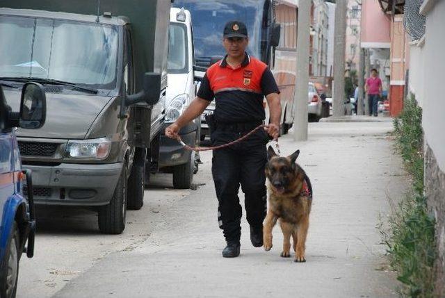 Önce İsyan Bastırıldı, Ardından Köpekli Arama Yapıldı