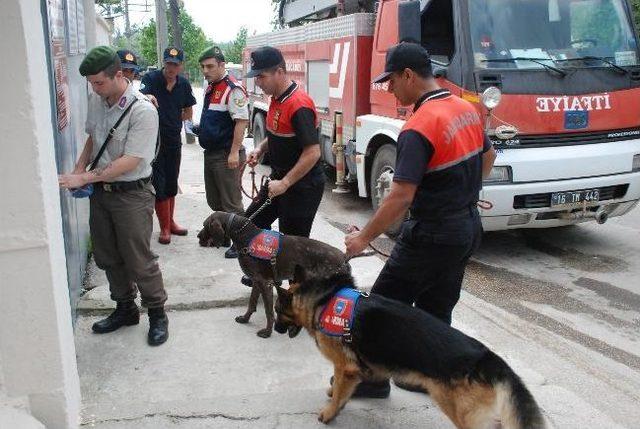 Önce İsyan Bastırıldı, Ardından Köpekli Arama Yapıldı