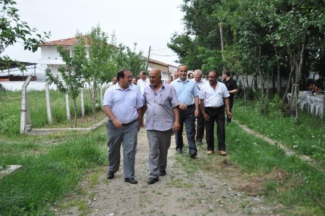 Yem Krizine &Ccedil;&ouml;z&uuml;m İ&ccedil;in &ldquo;yem Bezelyesi&rdquo;