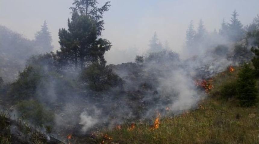 Eskişehir&rsquo;de Orman Yangınları Araştırılıyor