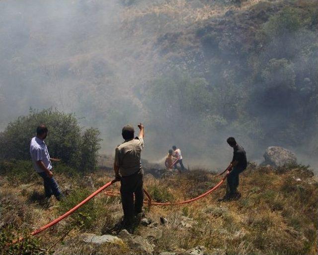 Eskişehir’de Orman Yangınları Araştırılıyor