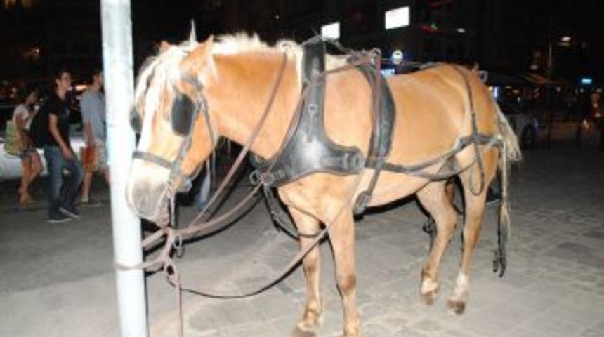 Atları Parlayan Fayton 8 Otomobile &Ccedil;arpıp Par&ccedil;alandı