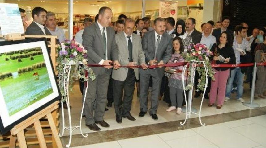 &ldquo;su Damladan Deryaya&rdquo; Fotoğraf Sergisi İlgi &Ccedil;ekiyor