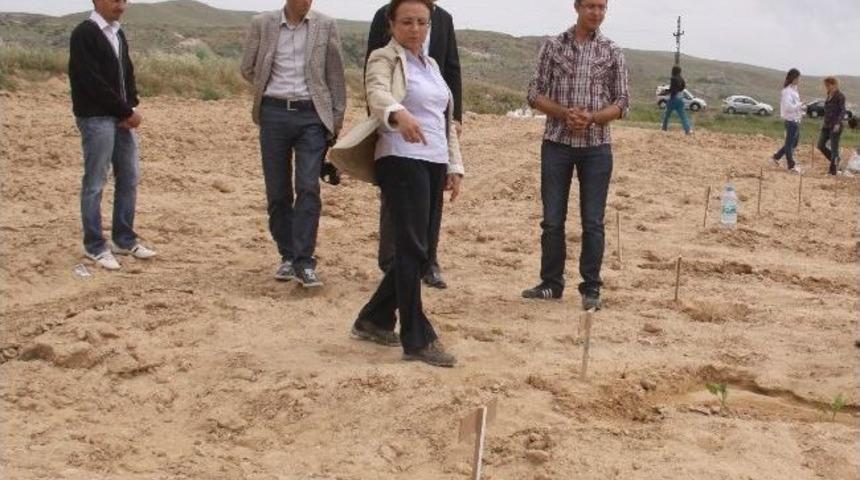 Rekt&ouml;r Kılı&ccedil;, Tarım Uygulama Alanlarını Gezdi