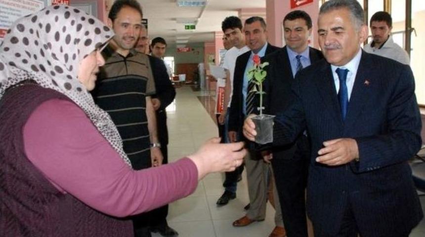 Emlak Vergisini Yatıranlara, &Ccedil;i&ccedil;ek Hediye