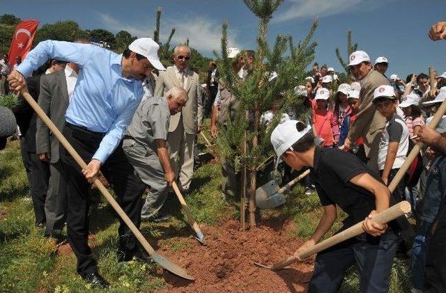 Keçiören Başkanı Ak, Gençlerle Birlikte Fidan Dikti