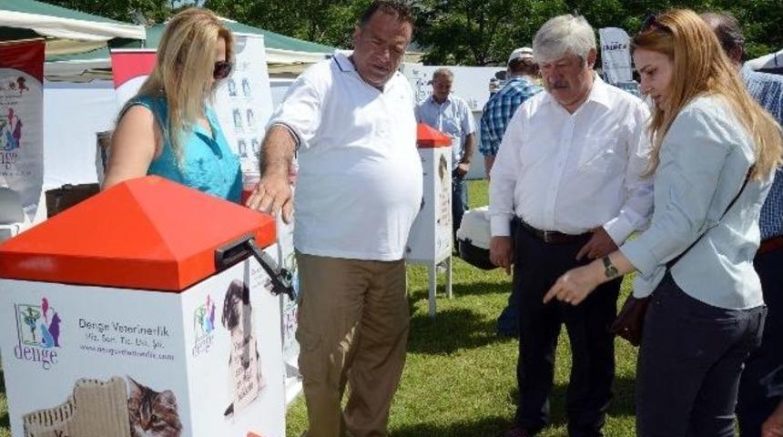 Başkan Akaydın Patifest&rsquo;te Hayvanseverlerle Buluştu
