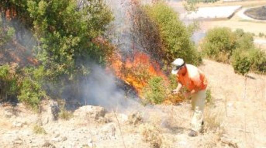 Elektrık Teller Ormanı Yaktı