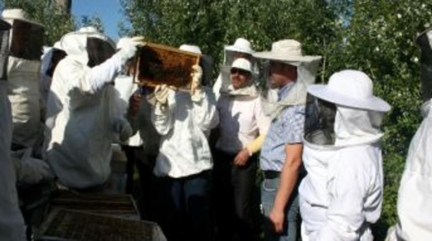 Bartın&rsquo;da Arıcılık Kursu Verildi