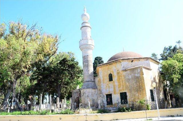 Rodos’tan Müjdeli Haber